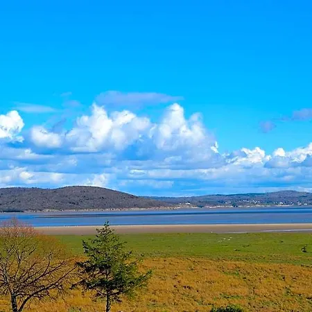 Bay